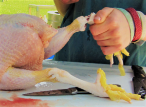 This is someone cutting the feet off the chicken