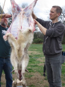 Dad tries his hand at skinning